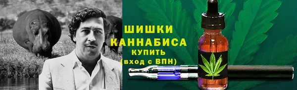 ГАЛЛЮЦИНОГЕННЫЕ ГРИБЫ Алзамай