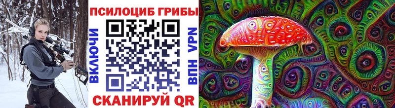 как найти закладки Кораблино Галлюциногенные грибы мицелий